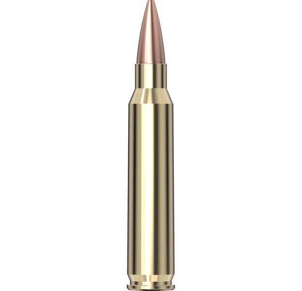Hornady Superformance® Ammunition 223 REM 75 gr BTHP Match™ 20/Box
