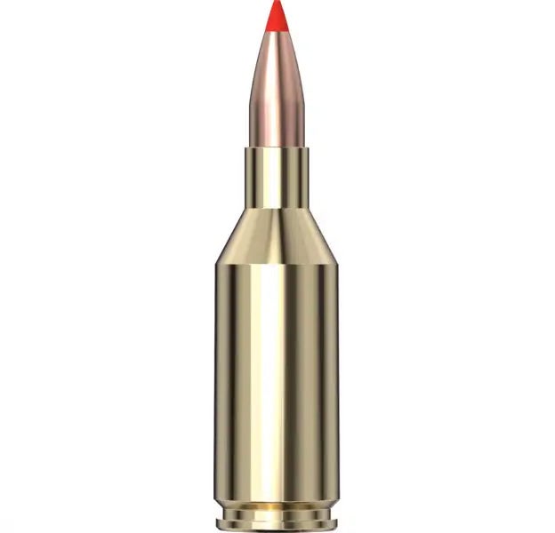 Hornady Superformance® Varmint Ammo 243 WSSM 75 gr V-MAX® 20/Box