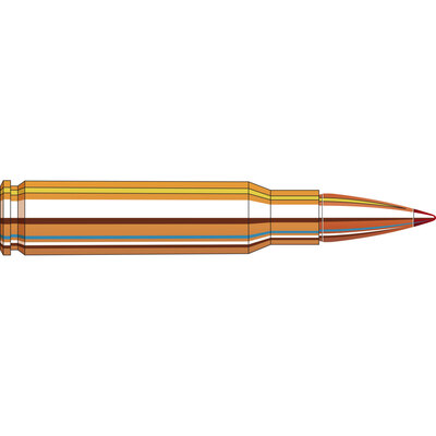 Hornady Superformance® Ammunition 308 Win 165 gr CX™ 20/Box