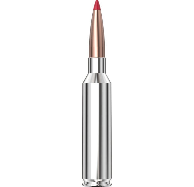 Hornady Outfitter® Ammo 7mm PRC 160 gr CX™ 20/Box