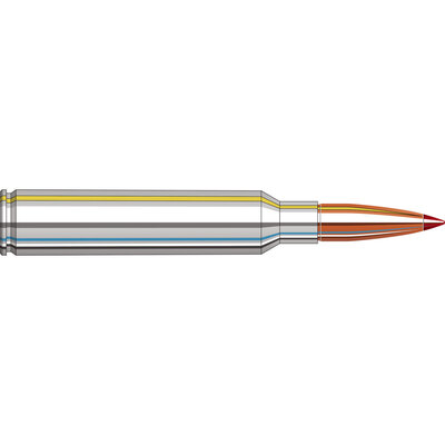 Hornady Outfitter® Ammunition 300 PRC 190 gr CX™ 20/Box