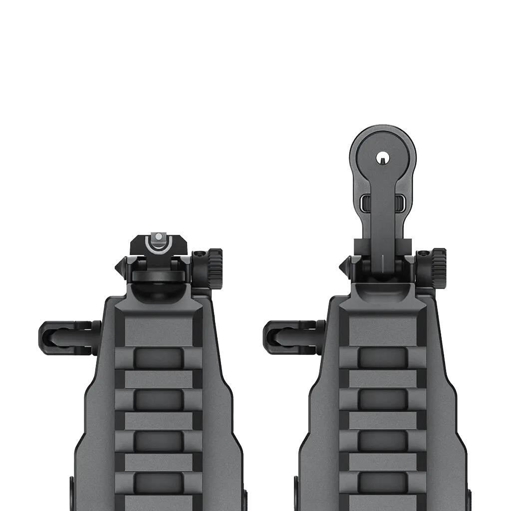 HYBRID FLIP-UP SIGHTS.png