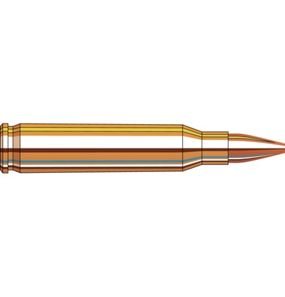 Hornady Frontier® Ammunition 5.56 NATO 55 gr Hollow Point Match™