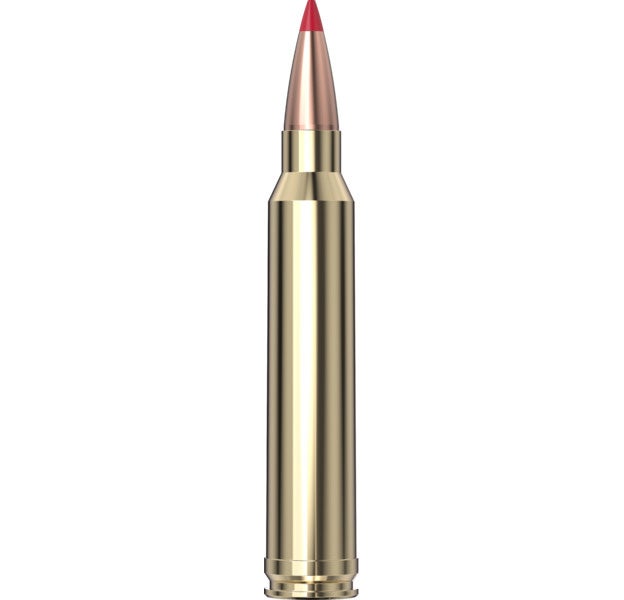 Hornady Precision Hunter® Ammo 300 Win Mag 178 gr ELD-X® 20/Box