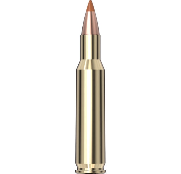 Hornady Superformance® Varmint™ Ammunition 222 REM 35 gr NTX® 20/Box