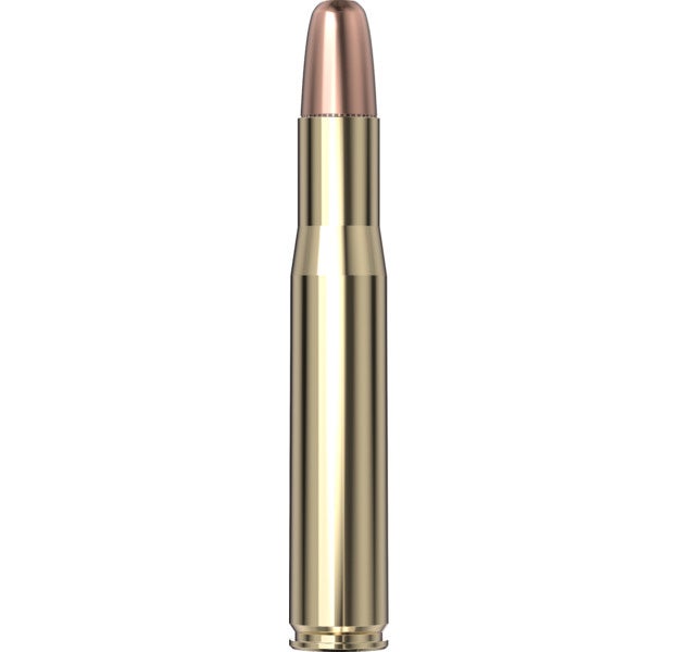 Hornady Dangerous Game™ Ammunition 404 Jeffery 400 gr DGS® 20/Box