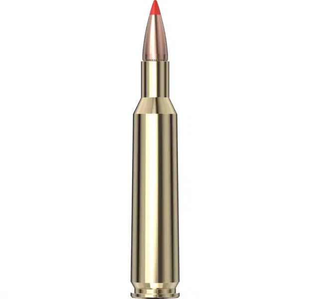 Hornady Superformance® Ammunition 6mm REM 95 gr SST® SPF 20/Box