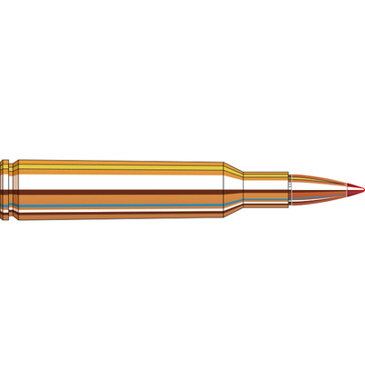 Hornady Superformance® Ammunition 6mm REM 95 gr SST® SPF 20/Box