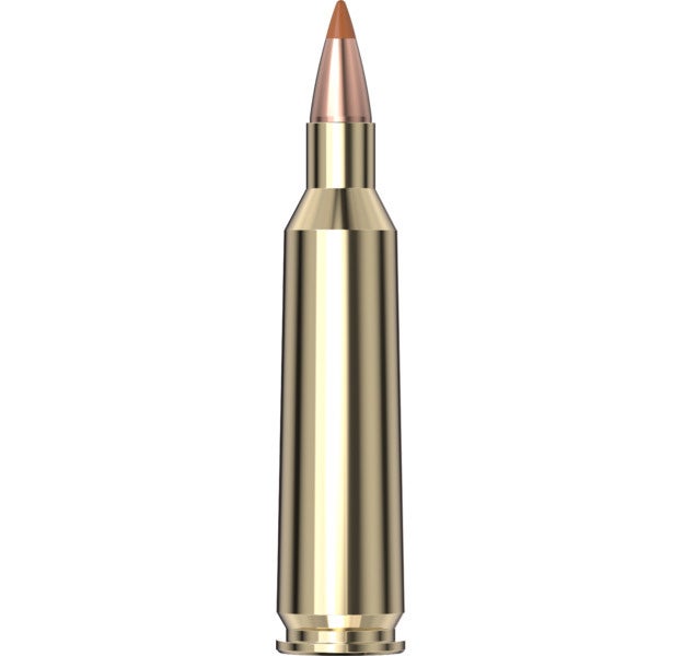 Hornady Superformance® Varmint™ Ammunition 22-250 35 gr NTX® 20/Box