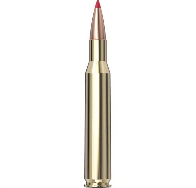 Hornady Superformance® Ammunition 270 Win 130 gr CX™ SPF 20/Box